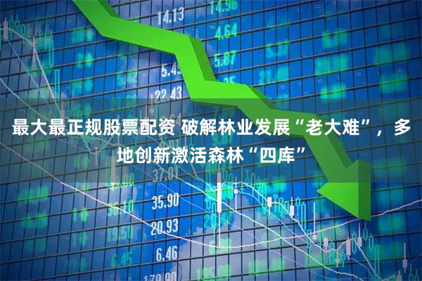 最大最正规股票配资 破解林业发展“老大难”，多地创新激活森林“四库”
